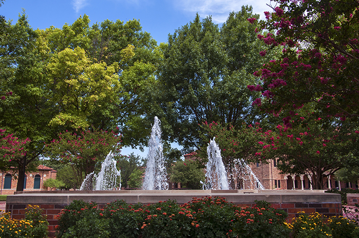 Bolin fountain with view from the Quad and fall visual of the lawn